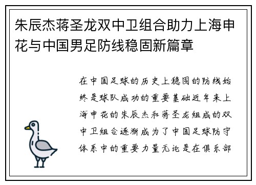 朱辰杰蒋圣龙双中卫组合助力上海申花与中国男足防线稳固新篇章